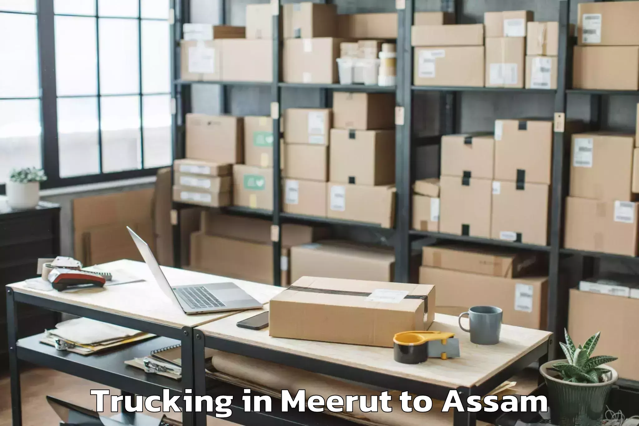 Leading Meerut to Dhekiajuli Pt Trucking Provider